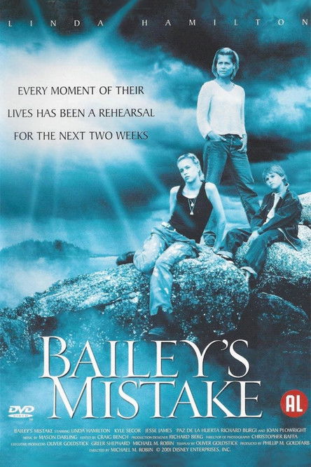 Movie poster for Bailey's Mistake (2001)