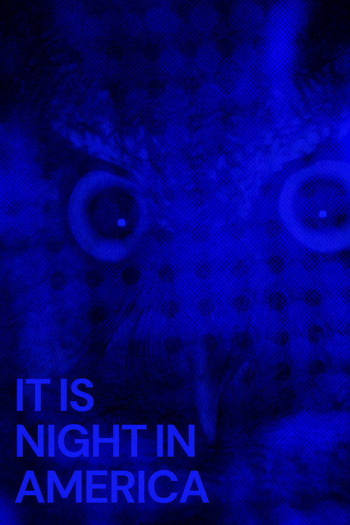 Movie poster for It Is Night in America (2024)
