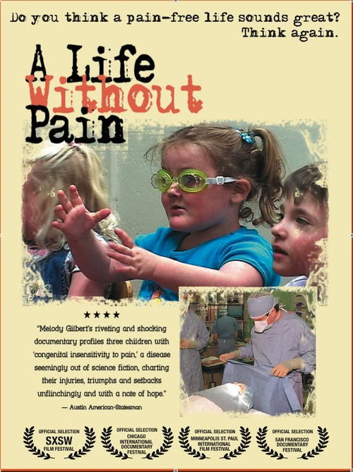 Movie poster for A Life Without Pain (2005)