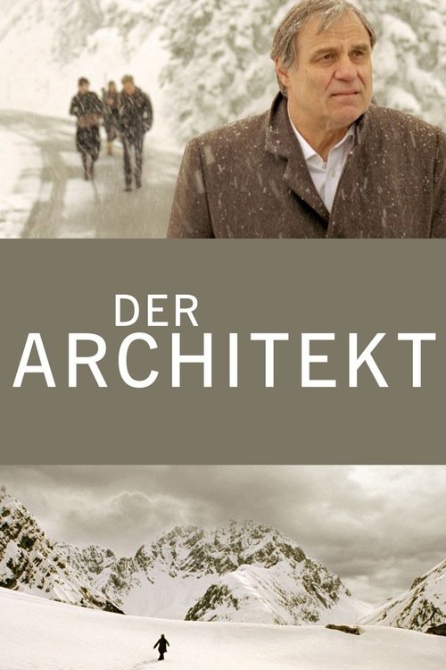 Movie poster for The Architect (2008)
