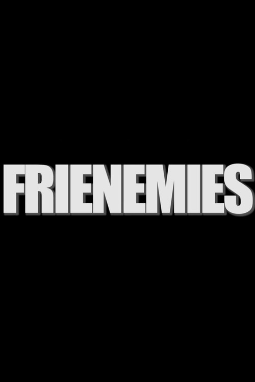 Movie poster for Frienemies (2013)