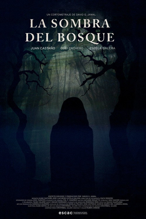 Movie poster for La Sombra del Bosque