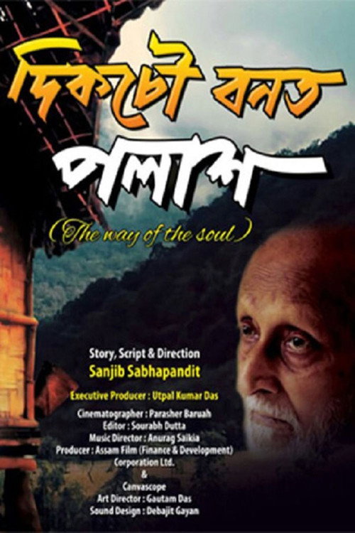 Movie poster for Dikchow Banat Polakh (2016)