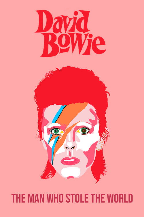 Movie poster for David Bowie: The Man Who Stole the World (2016)
