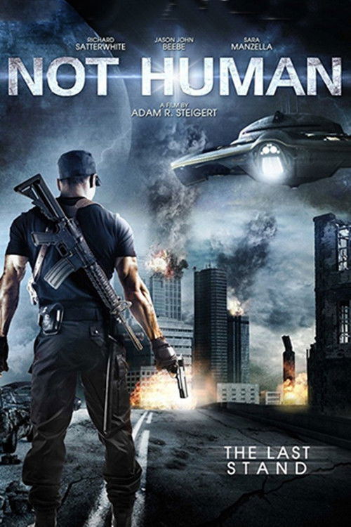 Movie poster for Ombis: Alien Invasion (2013)