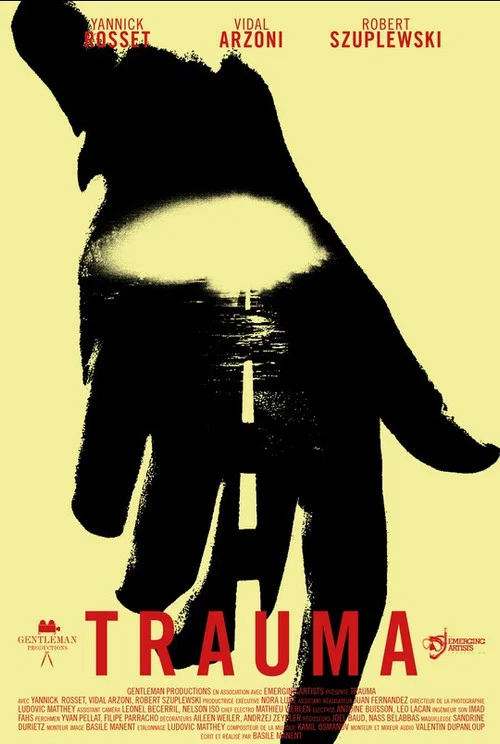 Movie poster for Trauma (2019)
