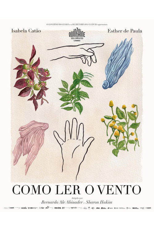 Movie poster for Como Ler o Vento (2025)