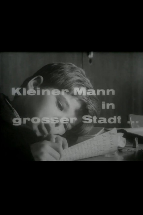 Movie poster for Kleiner Mann in grosser Stadt... (1966)