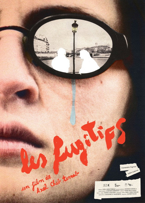 Movie poster for The fugitives