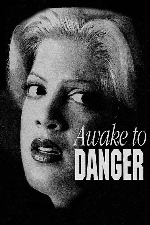 Movie poster for Awake to Danger (1995)