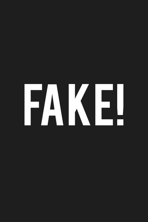 Movie poster for FAKE! (2017)