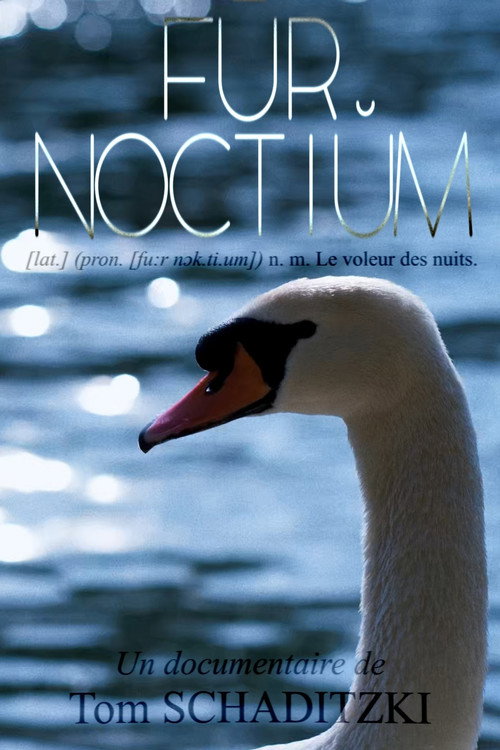 Movie poster for FŪR NOCTIŬM (2026)
