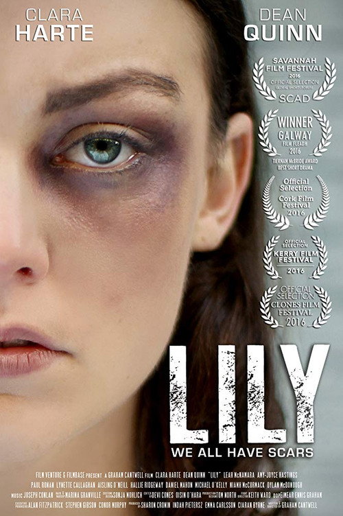 Movie poster for Lily (2016)