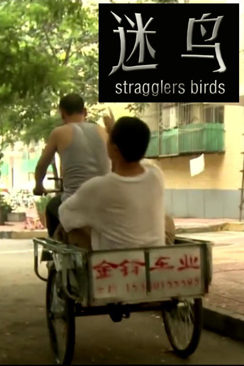 Movie poster for Stragglers Birds (2011)