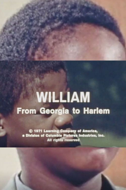 William: From Georgia To Harlem poster