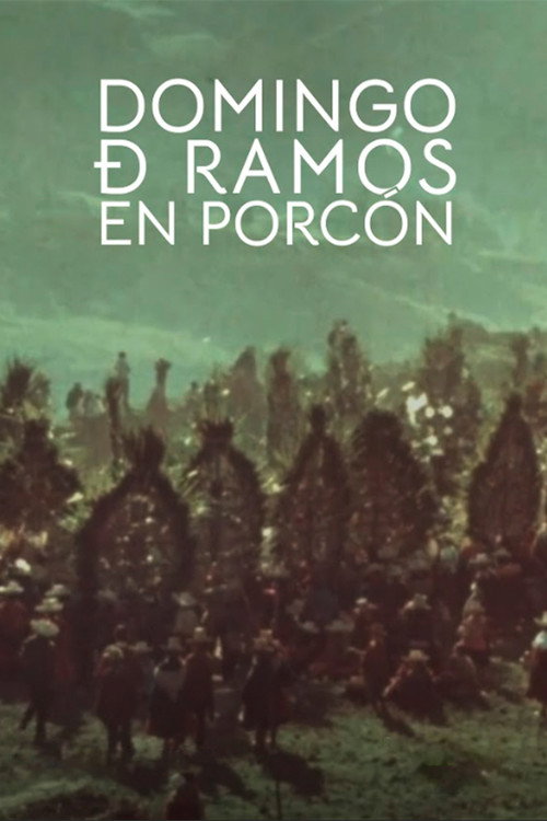 Movie poster for Domingo de Ramos en Porcón (1989)