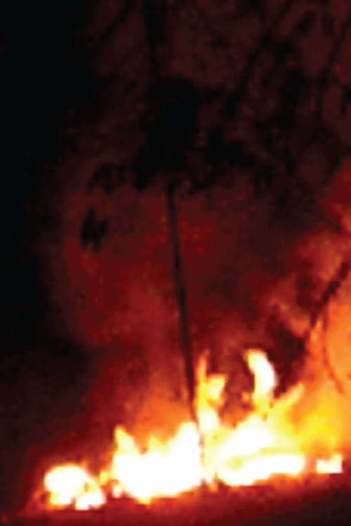 Movie poster for Every Flame Tree is a Burning Island