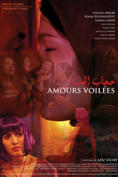 Movie poster for Amours voilées (2008)