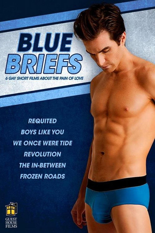 Movie poster for Blue Briefs (2012)