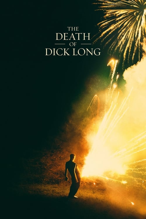 Movie poster for The Death of Dick Long (2019)