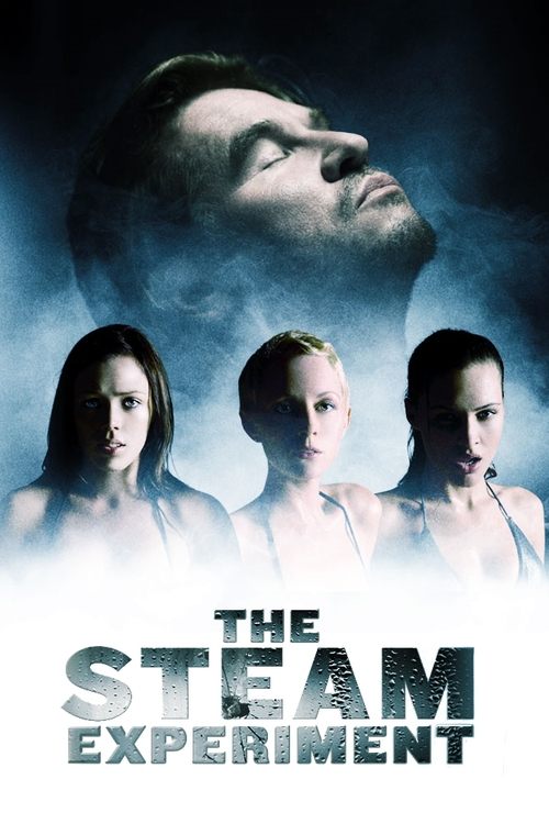 Movie poster for The Steam Experiment (2009)