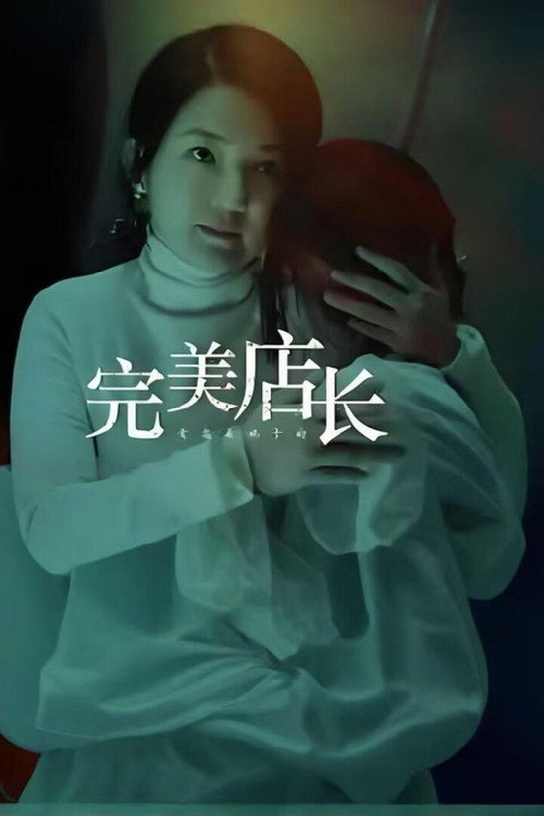Movie poster for 完美店长 (2024)