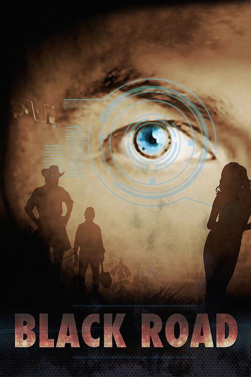 Movie poster for Black Road (2015)