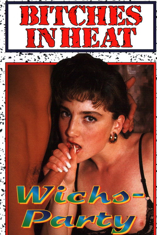 Movie poster for Wichsparty (1995)