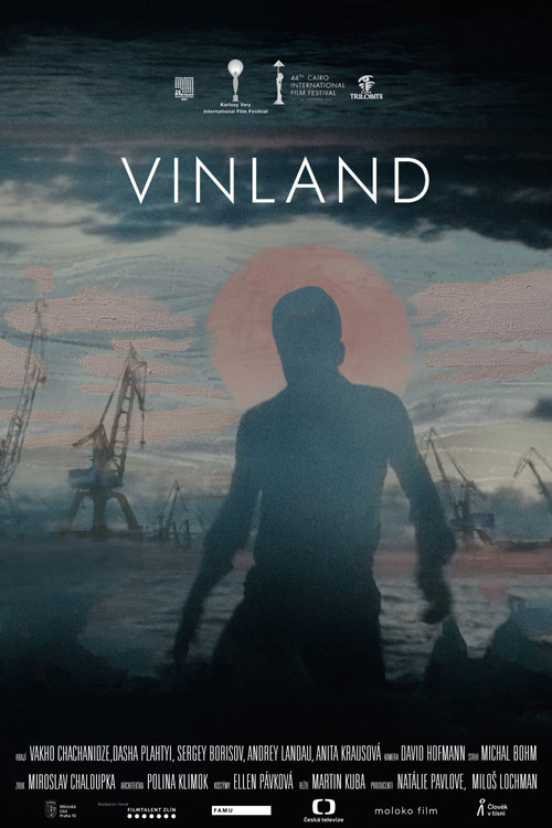 Movie poster for Vinland (2022)