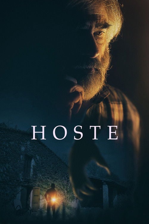 Movie poster for Host (2021)