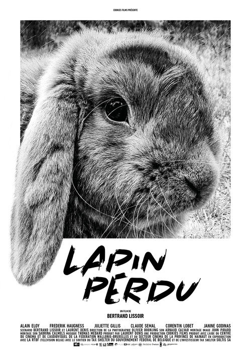 Movie poster for Lost Rabbit (2019)