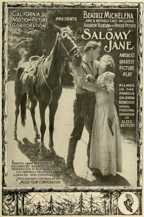 Movie poster for Salomy Jane (1914)