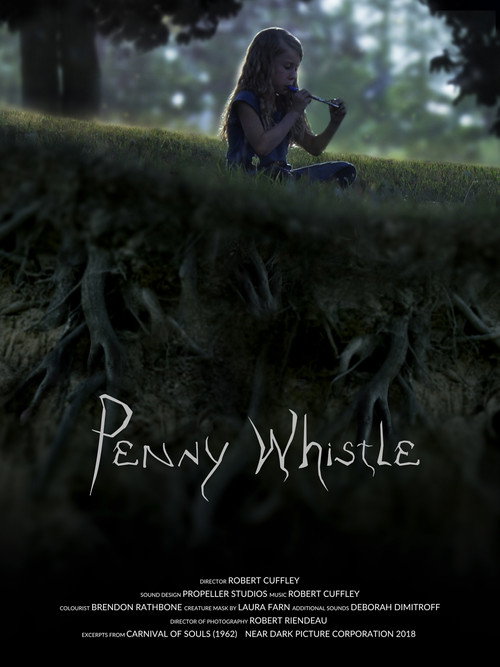 Movie poster for Penny Whistle (2018)