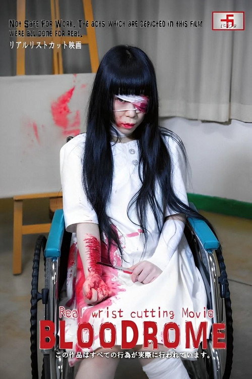 Movie poster for Bloodrome (2019)