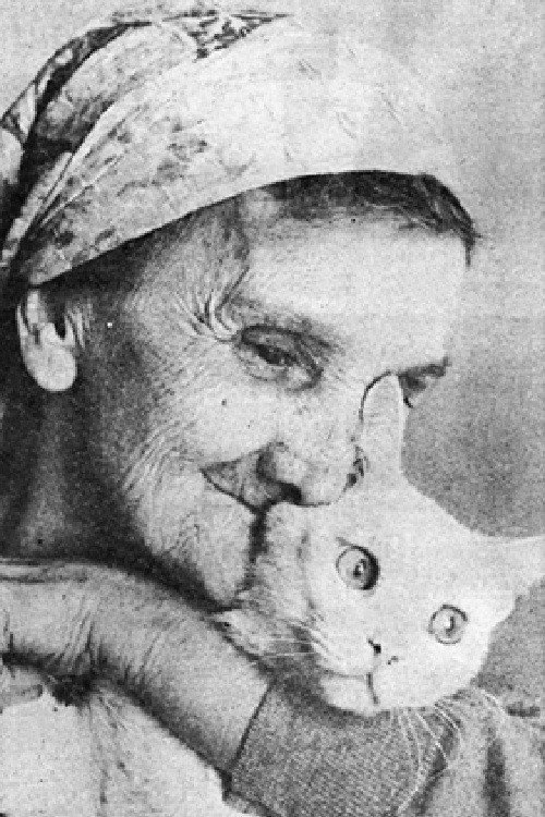 Photo of Jovanka Kotlajić, Acting