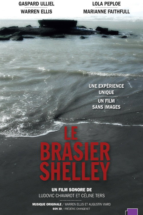Movie poster for Shelley's Blaze (2018)