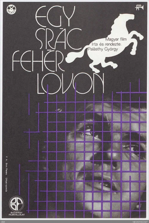 Movie poster for A Lad on White Horse (1973)