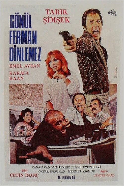 Movie poster for Gönül Ferman Dinlemez (1977)