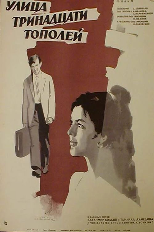 Movie poster for The Thirteen Poplars Street (1970)