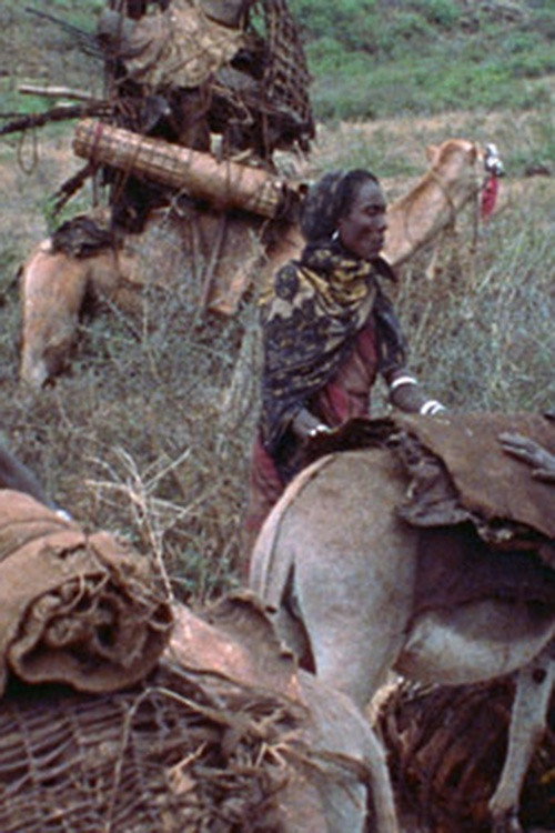 Movie poster for Boran Women (1974)