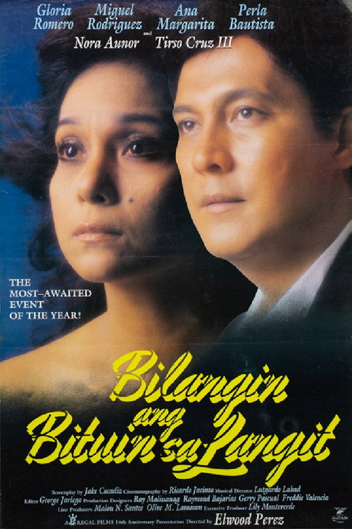Movie poster for Count the Stars in the Sky (1989)
