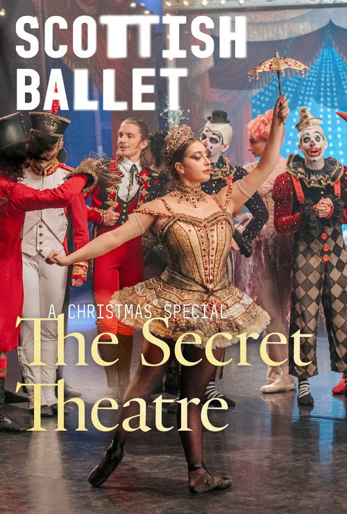 Movie poster for The Secret Theatre