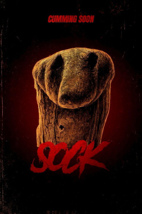 Movie poster for Sock (2025)