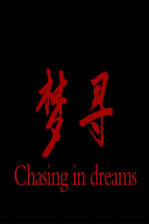 Movie poster for 梦寻 (2013)