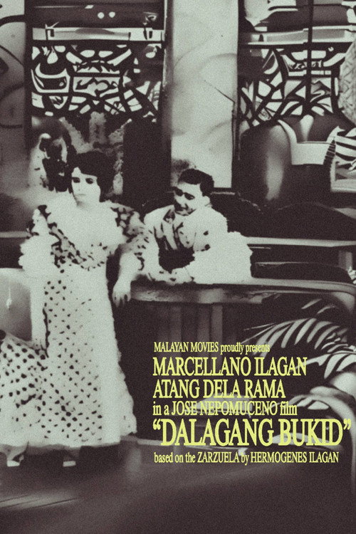 Movie poster for Country Maiden (1919)