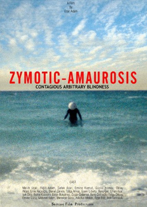 Movie poster for Zymotic Amaurosis (2008)