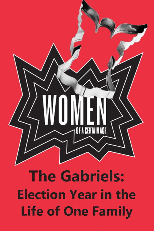 Movie poster for The Gabriels: Election Year in the Life of One Family, Play Three: Women of a Certain Age (2017)