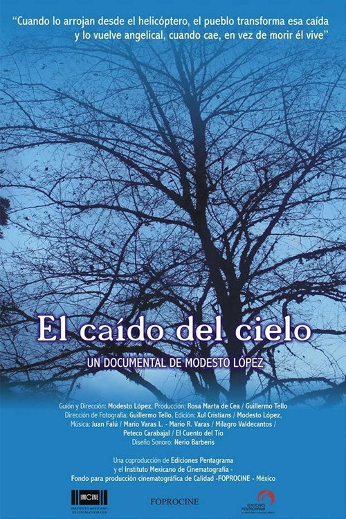 Movie poster for The One Fallen from the Sky (2016)