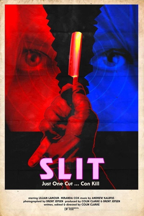 Movie poster for Slit (2015)