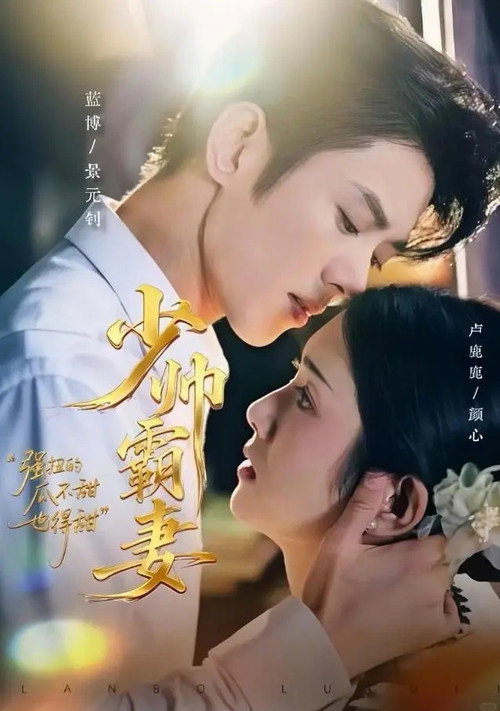 少帅霸妻，强扭的瓜不甜也得甜 poster